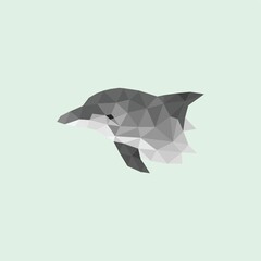 dolphin