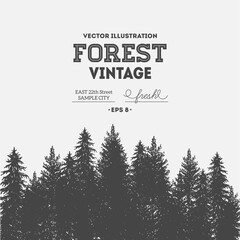 Pine forest. Journey design template.