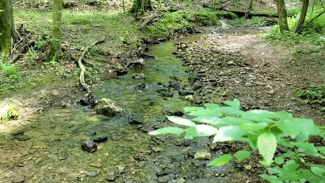 A tributary of Little Bennet creek is passing through the regional park where clear mountain water flows in shallow depth. Trees create beautiful shadow on this sunny summer day.