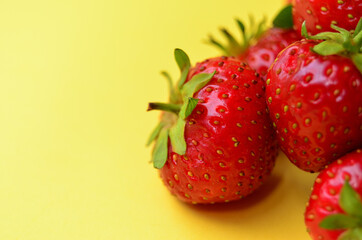 heap of ripe red fresh strawberries close up on a yellow background with a copy space