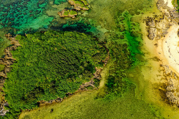 西表島 星砂の浜