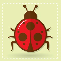 ladybug
