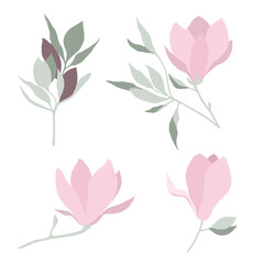 Vector set of three pink magnolia flowers and different branches. Isolated