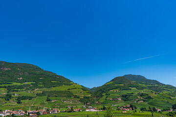 Fototapeta na wymiar Orchards and vineyards on the hills Bologna Province, Emilia Romagna, Italy.