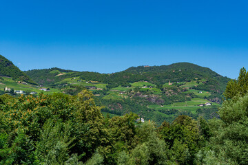 Fototapeta na wymiar Orchards and vineyards on the hills Bologna Province, Emilia Romagna, Italy.