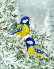 Winter Christmas background, two small blue-yellow tit birds sitting on snowy branches of spruce, evening, blizzard, snow flies.