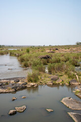 Riviere Olifants, Parc national Kruger, Afrique du Sud