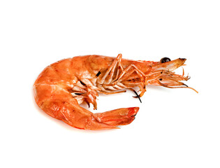 roasted prawn isolated on white background ,grilled shrimp