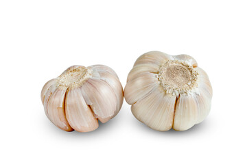 garlic isolated on white background ,include clipping path