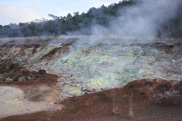 Volcanic gases rich in carbon dioxide, sulfur dioxide and hydrogen sulfide seep out of the ground...