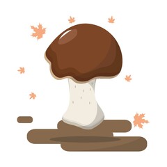 autumn mushroom