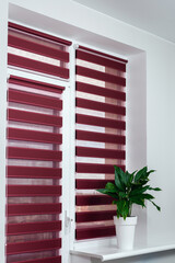 Roll Blinds on the windows to protect sunlight and lighting to decorate the apartment