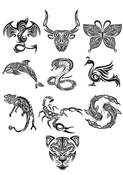 collection of animals tattoos