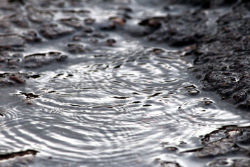 rainy water fill in a small pond