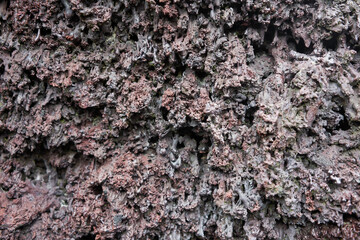 Closeup of lava rock surface.