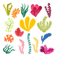 seaweed set vector illustration isolated on white background © lazarevhjy