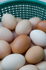 Eggs in the Plastic Basket.