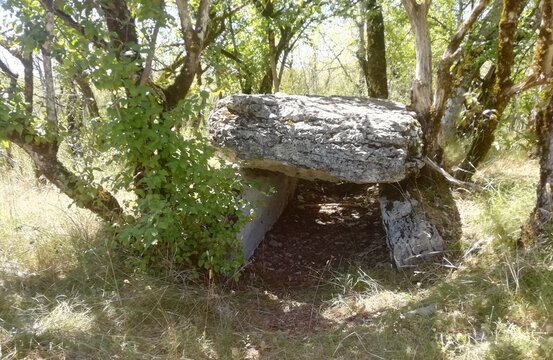 Tombeau 이미지 찾아보기 4,045 스톡 사진, 벡터 및 비디오 Adobe Stock