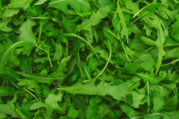 Fresh leaves of arugula.