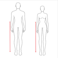 Women and men to do waist to floor measurement fashion Illustration for size chart. 7.5 head size girl and boy for site or online shop. Human body infographic template for clothes. 