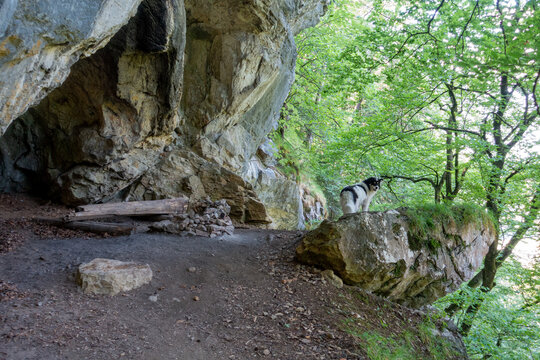 CAVE . H&Ouml;HLE  (KLEINE BADLH&Ouml;HLE . STYRIA . AUSTRIA . EUROPE)