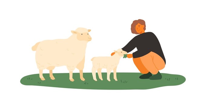 Farmer female feeding lamb and sheep by green grass vector flat illustration. Smiling woman agricultural worker taking care to farm animals isolated on white. Mother and baby fluffy mammals eating