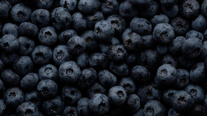 fresh blueberries with water drops