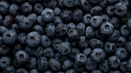 heap of fresh blueberries with water drops