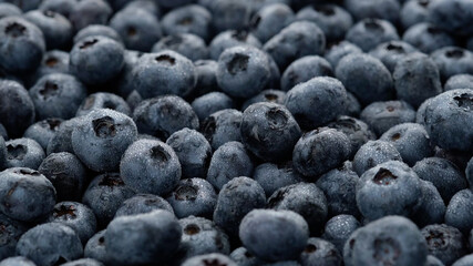 heap of fresh blueberries with water drops
