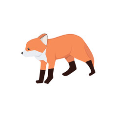 Fototapeta premium Fox Illustration