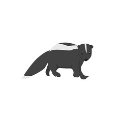 Skunk Illustration

