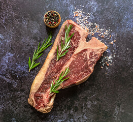 Thick Raw T-Bone Steak