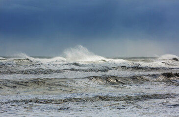 Wave