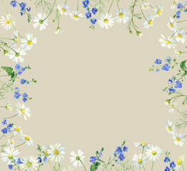Frame made of watercolor flowers chamomile and veronica..For congratulations, invitations, anniversaries, weddings, birthday
