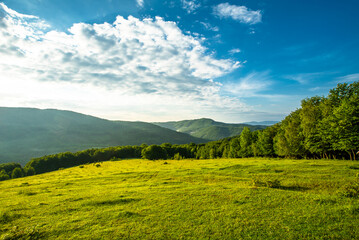 panorama of beautiful countryside. Beautiful summer landscape. grassy field on a background of trees and mountains and blue sky.