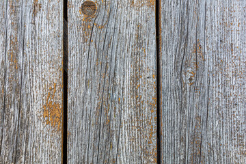 Texture of old pine boards, background. View from above.