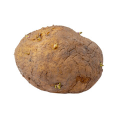 Naklejka premium Old potato isolated on a white background. Object for design and project.