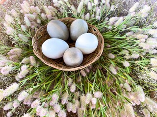 Easter eggs in gray and white tones, in a wicker basket, on a background of wild plants.Conceptual...