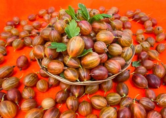 Ripe red gooseberries in a basket on an abstract surface. The concept of proper nutrition, agriculture. Free space.