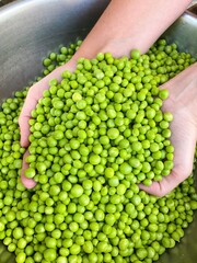 Fresh raw green peeled peas in the hands of a man. The concept of proper nutrition, agriculture.