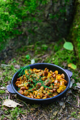 Fried chanterelles in a cast iron skillet in the forest.