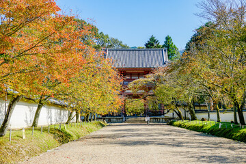 京都　醍醐寺