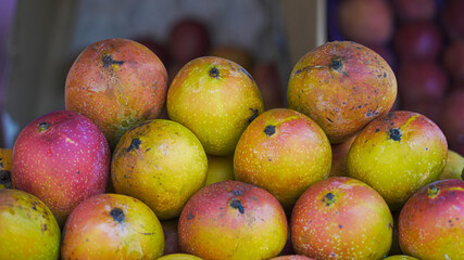 Mango for sale in a fruit shop close-up