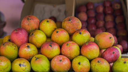 Mango for sale in a fruit shop