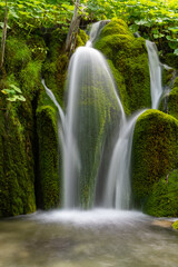 Wasserfall Plitvicer Seen Kroatien Naturschutzgebiet Nationalpark Moos fließen Pflanzen Idyll Biotp Reinheit pur grün Langzeitbelichtung Schönheit Schöpfung türkis Attraktion Sehenswürdigkeit Tourist