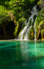 Wasserfall Plitvicer Seen Kroatien Naturschutzgebiet Nationalpark Moos fließen Pflanzen Idyll Biotp Reinheit pur grün Langzeitbelichtung Schönheit Schöpfung türkis Attraktion Sehenswürdigkeit Tourist