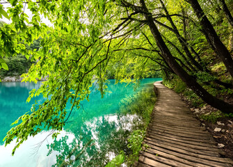 Plitvicer Seen Kroatien Steg Holz Nationalpark Naturschutzgebiet Paradies türkis Attraktion Sehenswürdigkeit Idyll Weg Bäume Urwald Wasser See Spiegelung klar Fische Welterbe Nacionalni park Plitvička