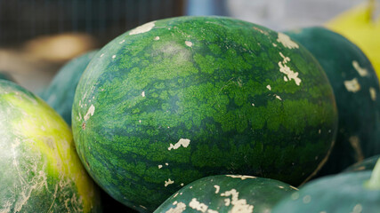 Closeup of fresh green watermelon
