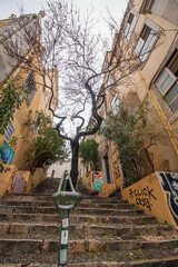 Fototapeta na wymiar Tree in the streets of Lisbon, Portugal