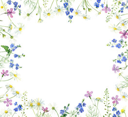 Frame of watercolor flowers chamomile and veronica and carnation on a white background .For congratulations, invitations, anniversaries, weddings, birthday